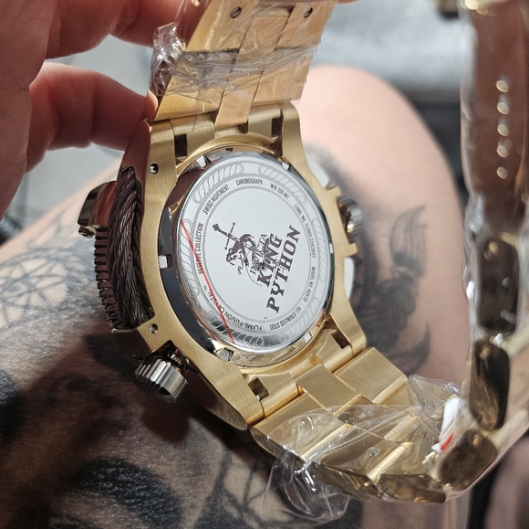 King python - Picture 8 of 8